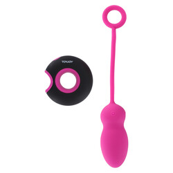 ToyJoy Caresse Embrace 1 Remote Con