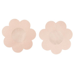 6 Pairs Of Flesh Coloured Nipple Co