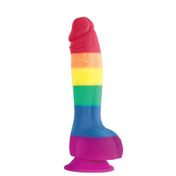 Colours Pride Edition 6 Inch Realis