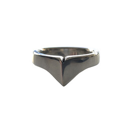 Rouge Stainless Steel Taj Cock Ring