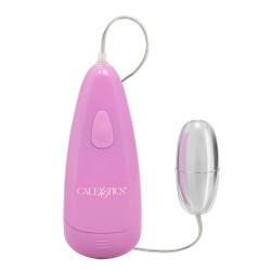 Pocket Exotics Waterproof Silver Bu