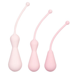 Inspire Weighted Silicone Kegel Tra