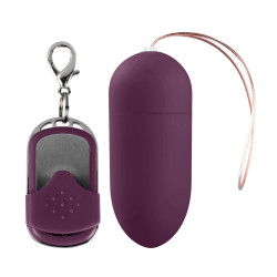 10 Speed Remote Vibrating Egg BIG P