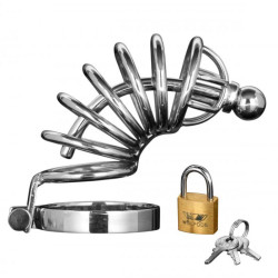 Master Series Asylum 6 Ring Locking